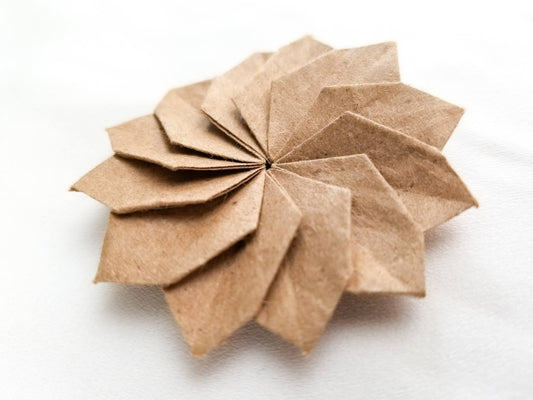 Origami: My Journey Unfolded